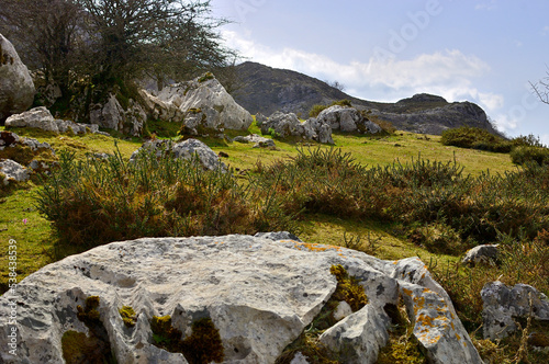 rocks in the mountains