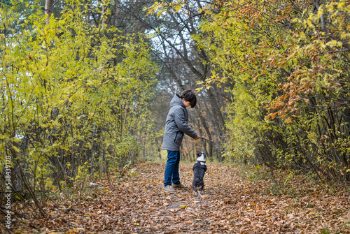 A happy and joyful boy walks with his buddy, a Boston terrier puppy, in a beautiful golden autumn forest. A child plays and has fun with a dog while walking outdoors in nature. Friends since childhood