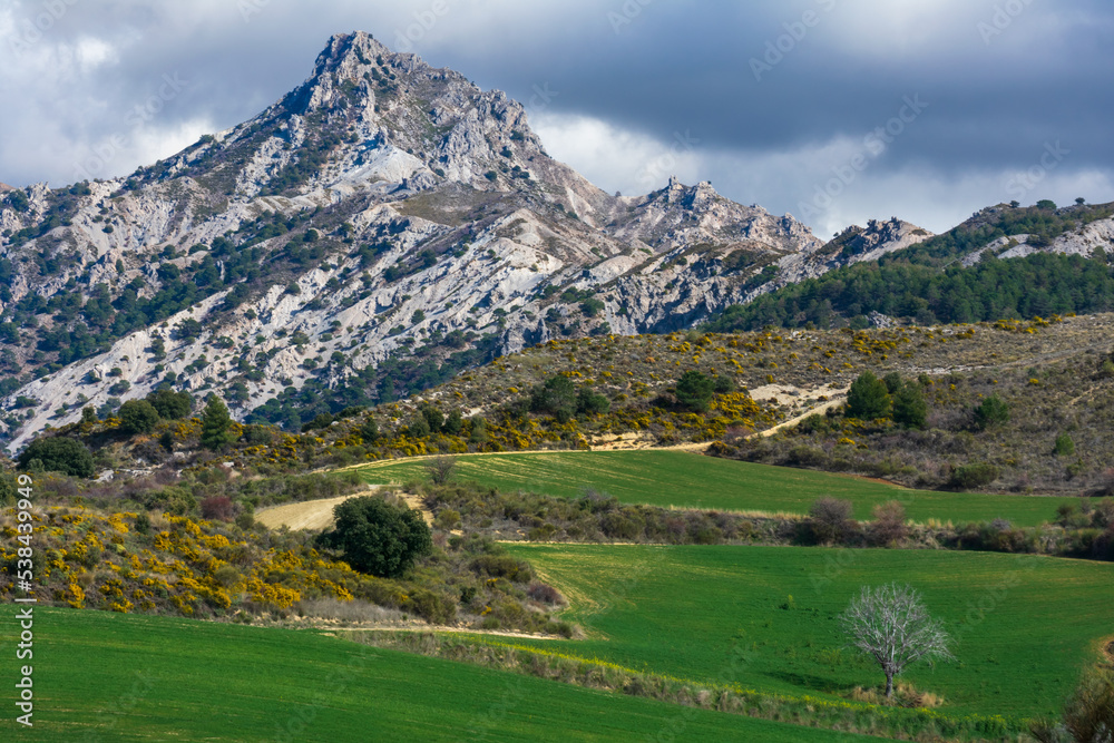 Mountain landscape and cattle pastures, in the Picos de Europa National Park, next to the Covadonga lakes.