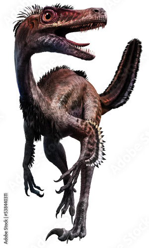 velociraptor from the Cretaceous era 3D illustration	 photo