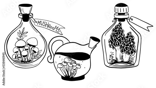set of three magic bottles with mushrooms and leaves inside, cork and label. glass bottle with potion,  magic elixir. for witches, Halloween, alchemy. Mushrooms of honeydew, shiitake, morels