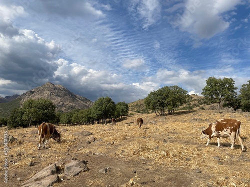 Tunceli / Dersim - Mazgirt - Gümüşgün Köyü (Dorf) - Samansor | Türkiye photo