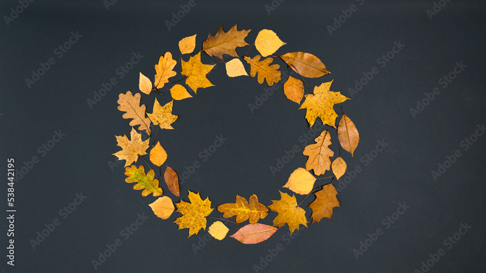Round frame of beautiful autumn yellow and brown maple, oak and birch leaves. Black background