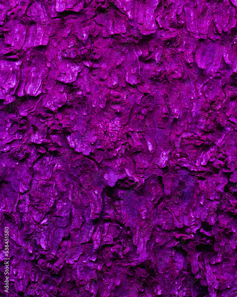 Abstract purple tree bark background, closeup of natural tree bark texture. Tree trunk in neon light, natural material background image