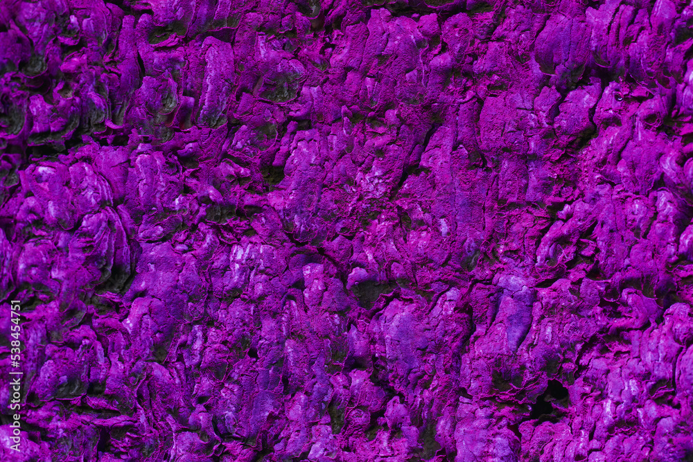Obraz premium Abstract purple tree bark background, closeup of natural tree bark texture. Tree trunk in neon light, natural material background image, top view
