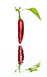 Vertical image of a red jalapeno with leaf on a white background