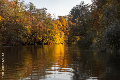Autumn landscape. Yellow trees on the bank of a forest river at sunset. Landscape in warm colors
