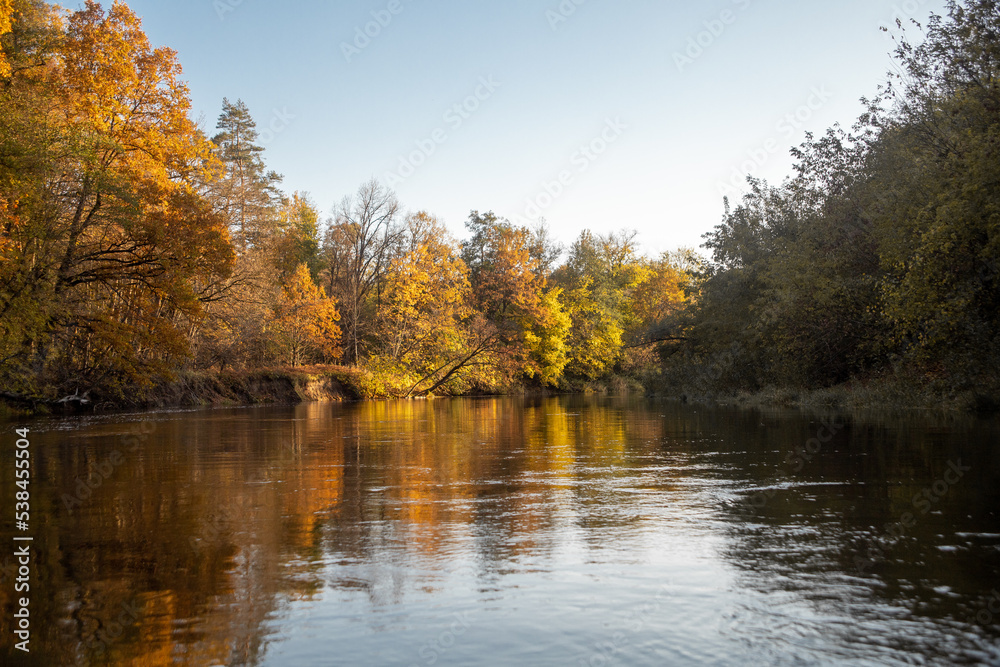 Autumn landscape. Yellow trees on the bank of a forest river at sunset. Landscape in warm colors of sunlight