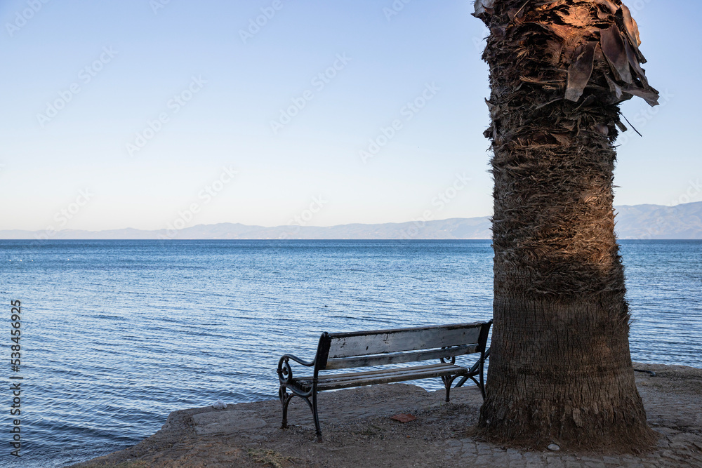 Old empty bench stands on beach with palm tree , beautiful landscape with sea Old empty bench stands on beach with palm tree , beautiful landscape with sea