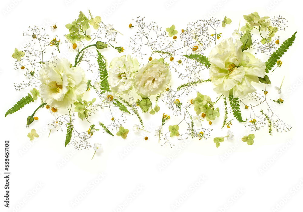 Fototapeta premium Flower composition. Light flowers with green leaves on a white background. Flat lay, top view. Copy space