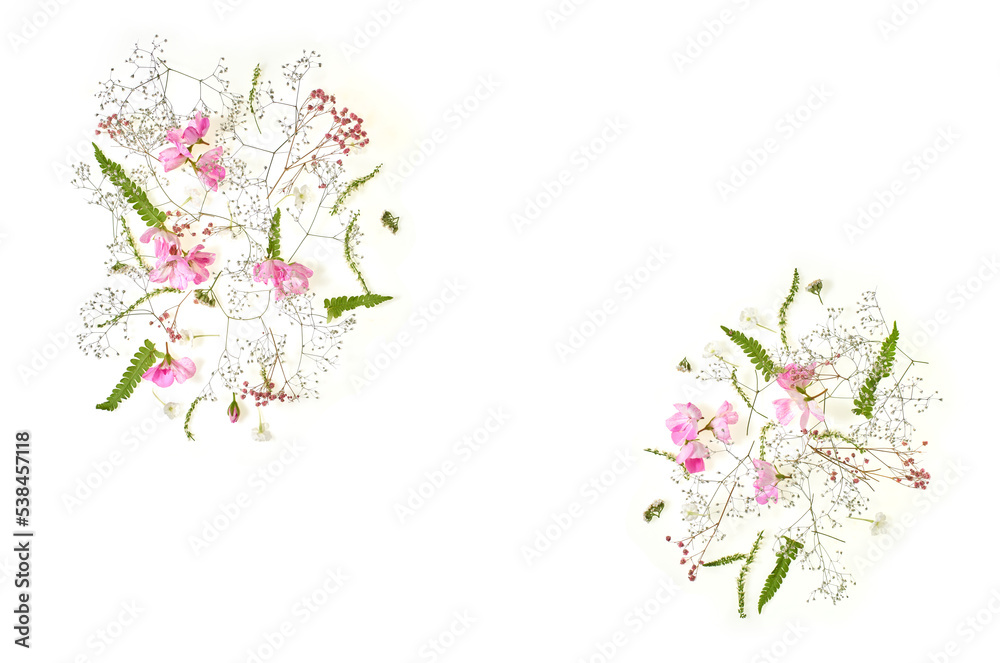 Flower composition. Light pink flowers with green leaves on a white background. Flat lay, top view. Copy space