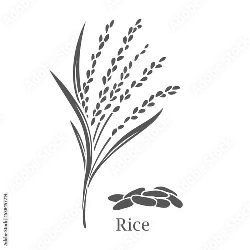 Rice cereal crop glyph icon vector illustration. Cut black silhouette grain plant with leaf, stalk and seeds in panicle, fresh organic farm harvest of agriculture paddy field and Rice lettering
