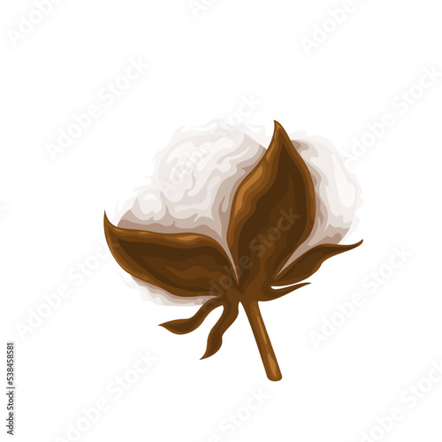 Cotton plant vector illustration. Cartoon isolated flower on branch, organic bud with soft white ball and leaf grow on stem, fluffy raw natural boll of farm cotton crop for bio textile industry