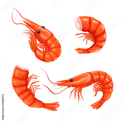 Shrimp and prawn set vector illustration. Cartoon isolated whole sea or ocean crustacean animal, headless or with head, tail and shell, gourmet healthy food ingredient from seafood restaurant menu