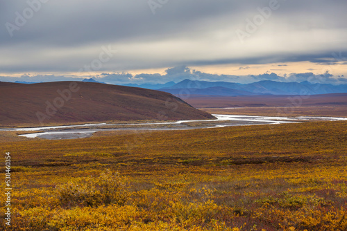 Autumn in polar tundra