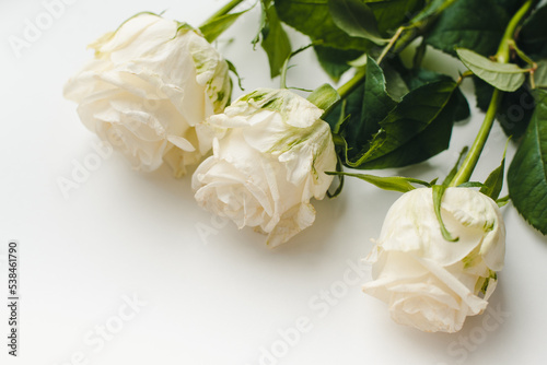 white roses bouquet. Bouquet of white roses on a white background.