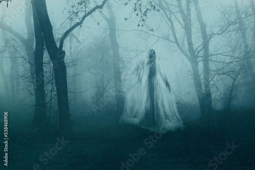 A scary screaming demon woman. Floating in a spooky forest on a foggy winters day.