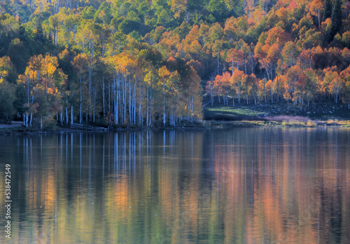 Fototapeta Naklejka Na Ścianę i Meble -  Kolob Reservoir Reflection