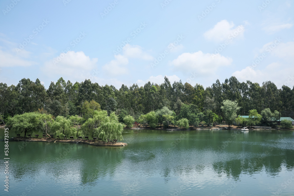 Picturesque view of pond and beautiful green park