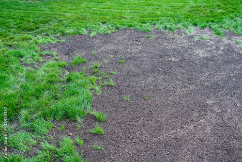 Grass seeds in fresh dirt, re-seeding a patchy lawn
