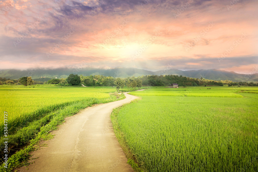 Fototapeta premium Natural Sunset Sunrise Over Field Or Meadow. Bright Dramatic Sky And Dark Ground. Countryside Landscape Under Scenic Colorful Sky At Sunset Dawn Sunrise. Sun Over Skyline, Horizon. Warm Colours.