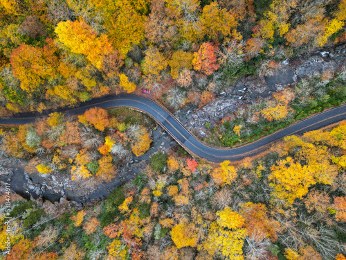 Peak Fall Foliage in Asheville, North Carolina. Autumn Colors Red, Yellow, and orange. East Coast Drone Aerial View