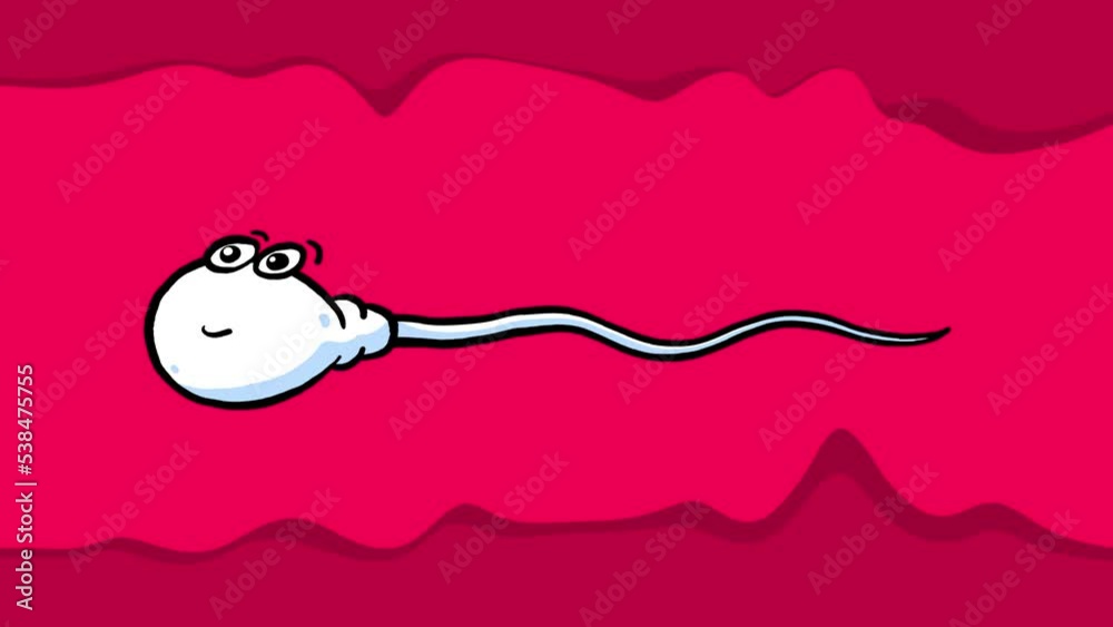 Sperm cell cartoon animated character isolated. Animation loop with alpha channel. Red purple pink background.