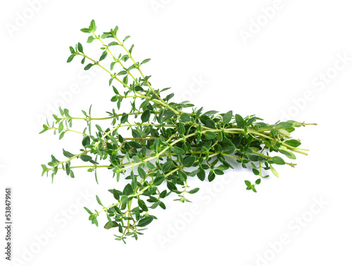 Fresh thyme sprigs, spice, close-up, isolated on white background. © wealthy lady