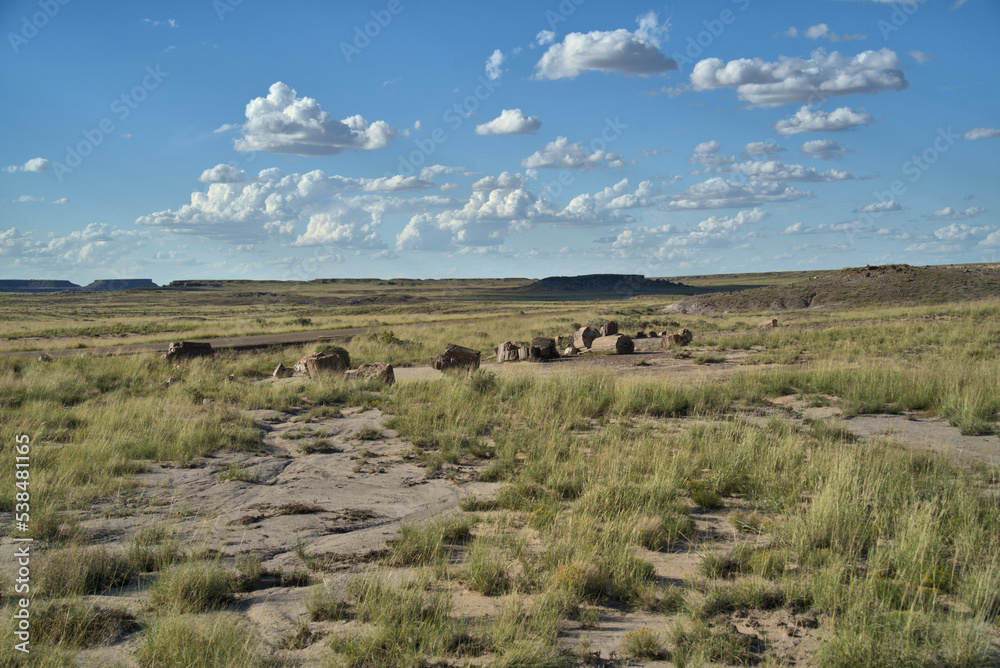 Petrified Forest National Park in Arizona USA Petrified Forest National Park in Arizona USA