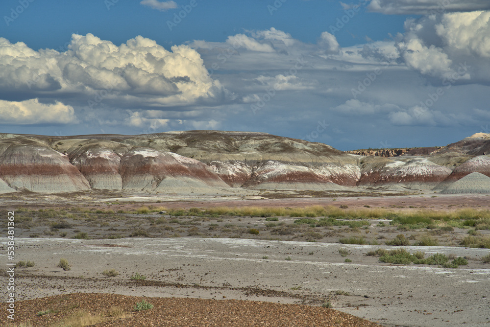 Petrified Forest National Park in Arizona USA