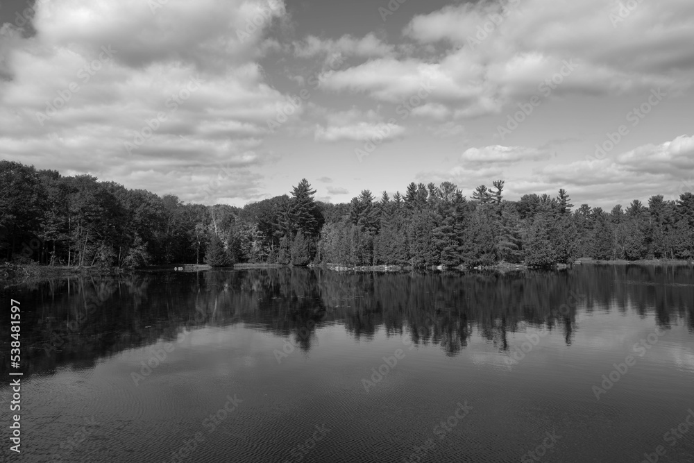 Fototapeta premium Fall forest along a river