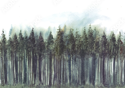 Pine tree forest in watercolor painting