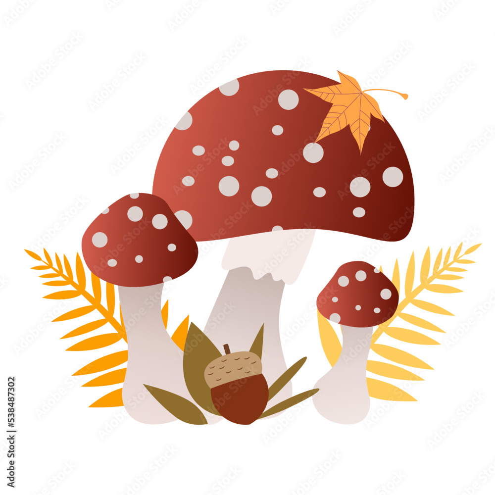 Mushrooms in autumn forest Mushrooms in autumn forest