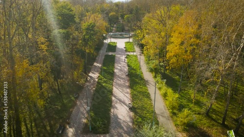 Aerial view of the alley between forest in golden autumn amusement park under light blue cloudy sky