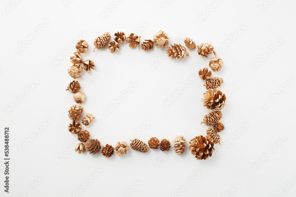 pinecone autumn Dried flower 松ぼっくり 自然 白背景 秋 pinecone autumn Dried flower 松ぼっくり 自然 白背景 秋