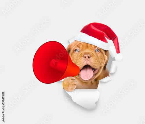  Happy puppy wearing sunglasses and red santa hat holds megaphone and looking through the hole in white paper © Ermolaev Alexandr