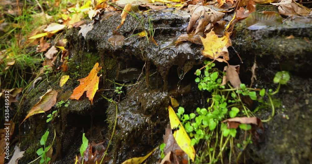 Autumn video of a scenic waterfall located in Lansing NY, Emilie Jonas Nature Falls Trail, near Ithaca, New York. Autumn video of a scenic waterfall located in Lansing NY, Emilie Jonas Nature Falls Trail, near Ithaca, New York.