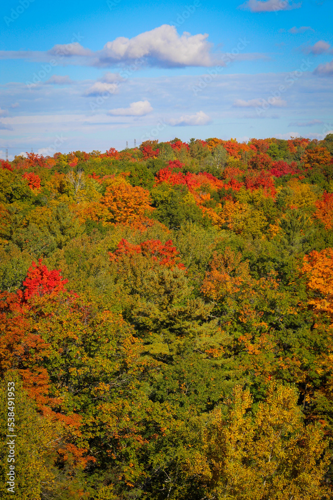 Vista Lookout in Rouge National Urban Park in autumn