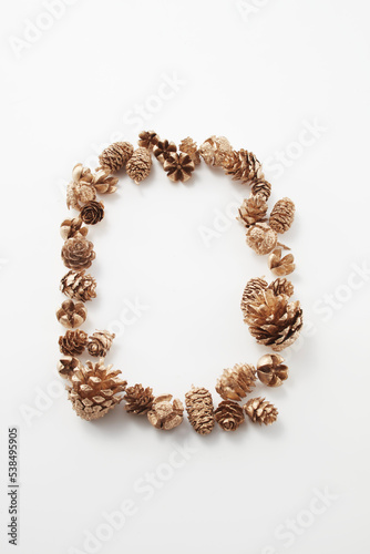 pinecone    autumn   Dried flower   松ぼっくり  自然　白背景　秋