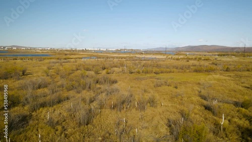 Aerial view of a tundra bushs and grass on islands next to the river in sunny gold-autumn day with cloud, horizon