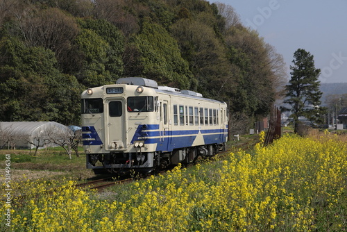 菜の花畑を行くローカル列車