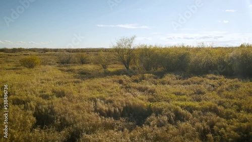 Aerial around view of a tundra bushs and grass on island next to the river in sunny gold-autumn day with clouds