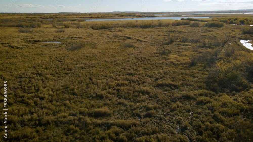 Aerial around above view of a tundra bushs and grass on islands next to the river in sunny gold-autumn day with clouds Aerial around above view of a tundra bushs and grass on islands next to the river in sunny gold-autumn day with clouds