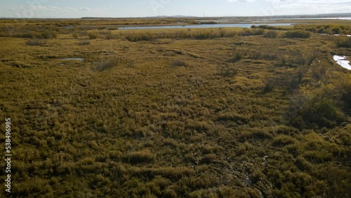 Aerial around above view of a tundra bushs and grass on islands next to the river in sunny gold-autumn day with clouds