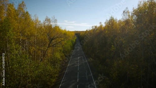 Aerial, along above the road, like real car, view of mountains covered beautiful gold autumn forest under clearsky and sunbeam