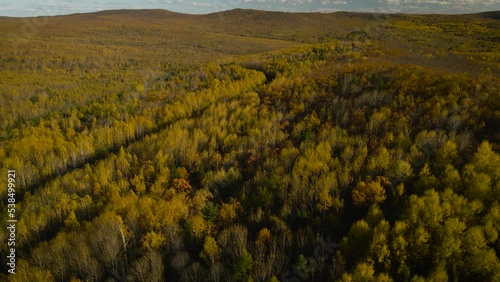 Aerial view of mountains covered beautiful gold autumn forest and country road under cloud sky and sunbeams