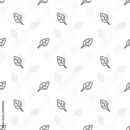Doodle black and white outline with transparent background, herb leaves seamless pattern.