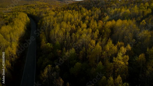 Aerial view of mountains covered beautiful gold autumn forest and country road under cloud sky and shadows