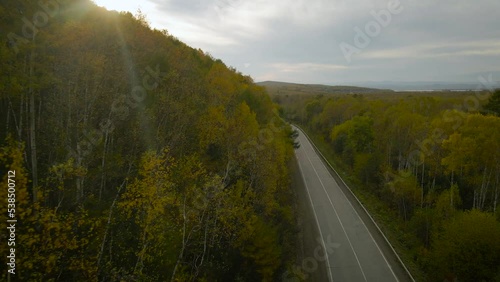 Aerial, above the road, view of mountains covered beautiful gold autumn forest and country road under cloud sky and sunbeam