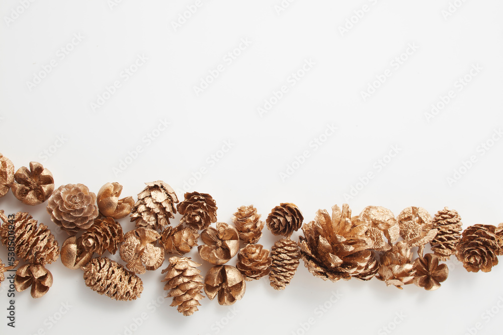 pinecone autumn Dried flower 松ぼっくり 自然 白背景 秋 pinecone autumn Dried flower 松ぼっくり 自然 白背景 秋